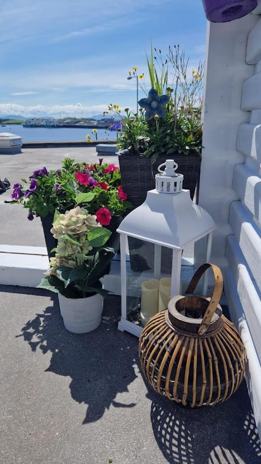 Rosie'S Apartments Killybegs Bagian luar foto